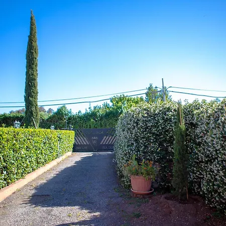 Campus Trigoria Selcetta