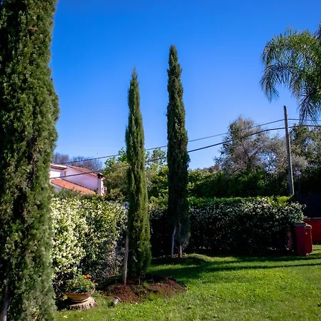 Konukevi Campus Trigoria