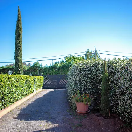 Campus Trigoria Konukevi Selcetta