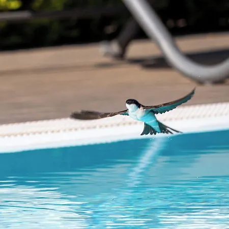 Campus Trigoria Selcetta