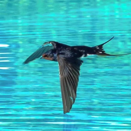 Campus Trigoria 게스트하우스 Selcetta