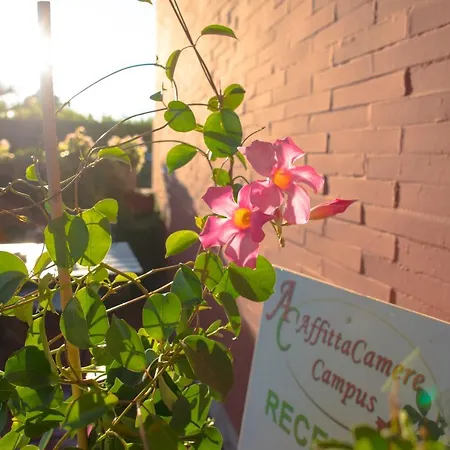 게스트하우스 Campus Trigoria Selcetta