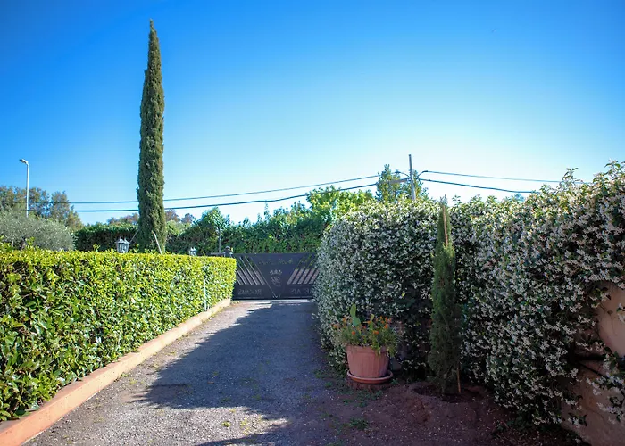 Campus Trigoria Penzion Selcetta