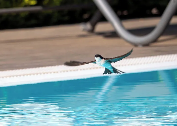 Campus Trigoria Selcetta