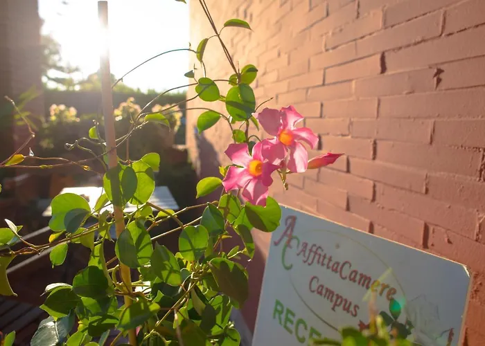 Penzion Campus Trigoria Selcetta